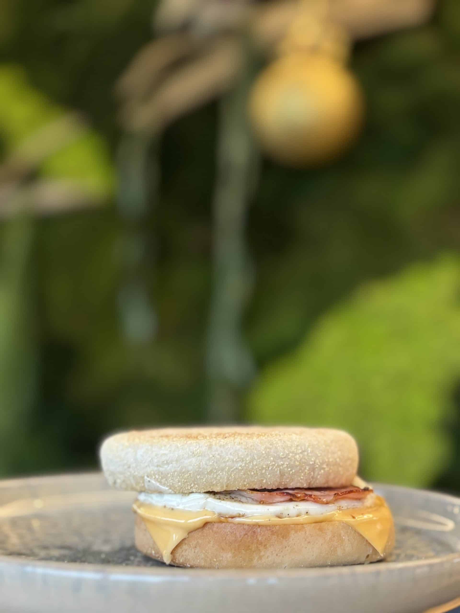 egg muffin