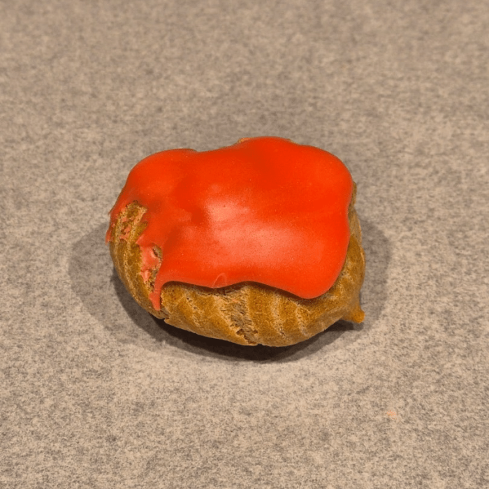 choux orange_sanguine