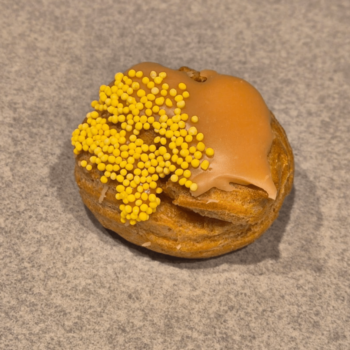 choux rhum_raisin